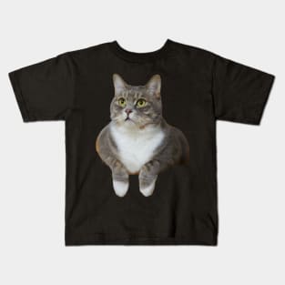 cat chilling Kids T-Shirt